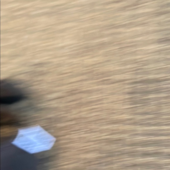 Obey Black Waist Bag - Picture 4 of 6